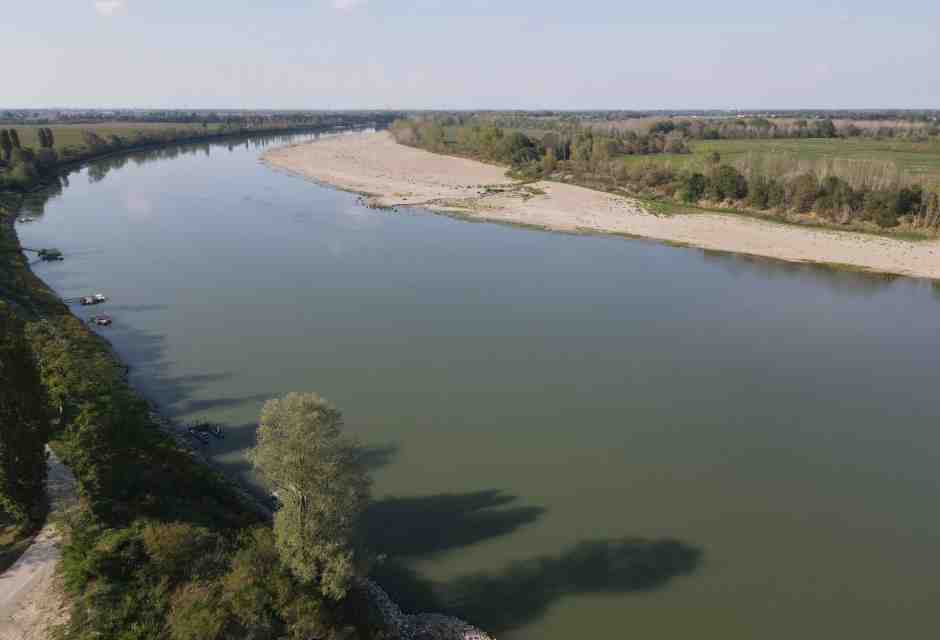 L'estinzione è già realtà, ed è una gran tristezza