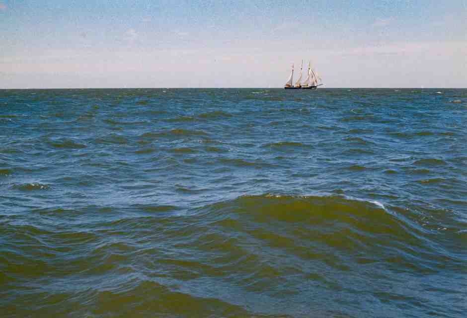 L’isola (e lo stato) che non c’è, ma potrebbe esserci presto. Nuove micronazioni crescono