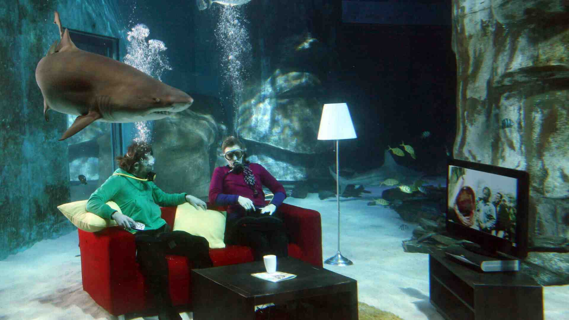 Lo Squalo a cinquant'anni dalla sua uscita continua a terrorizzare e affascinare gli spettatori