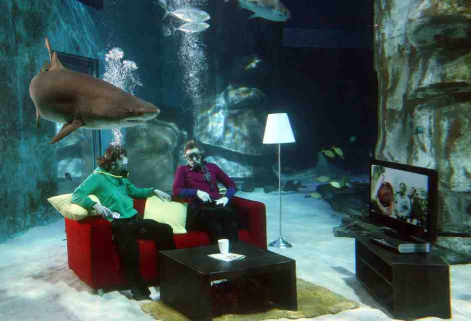 Lo Squalo a cinquant'anni dalla sua uscita continua a terrorizzare e affascinare gli spettatori