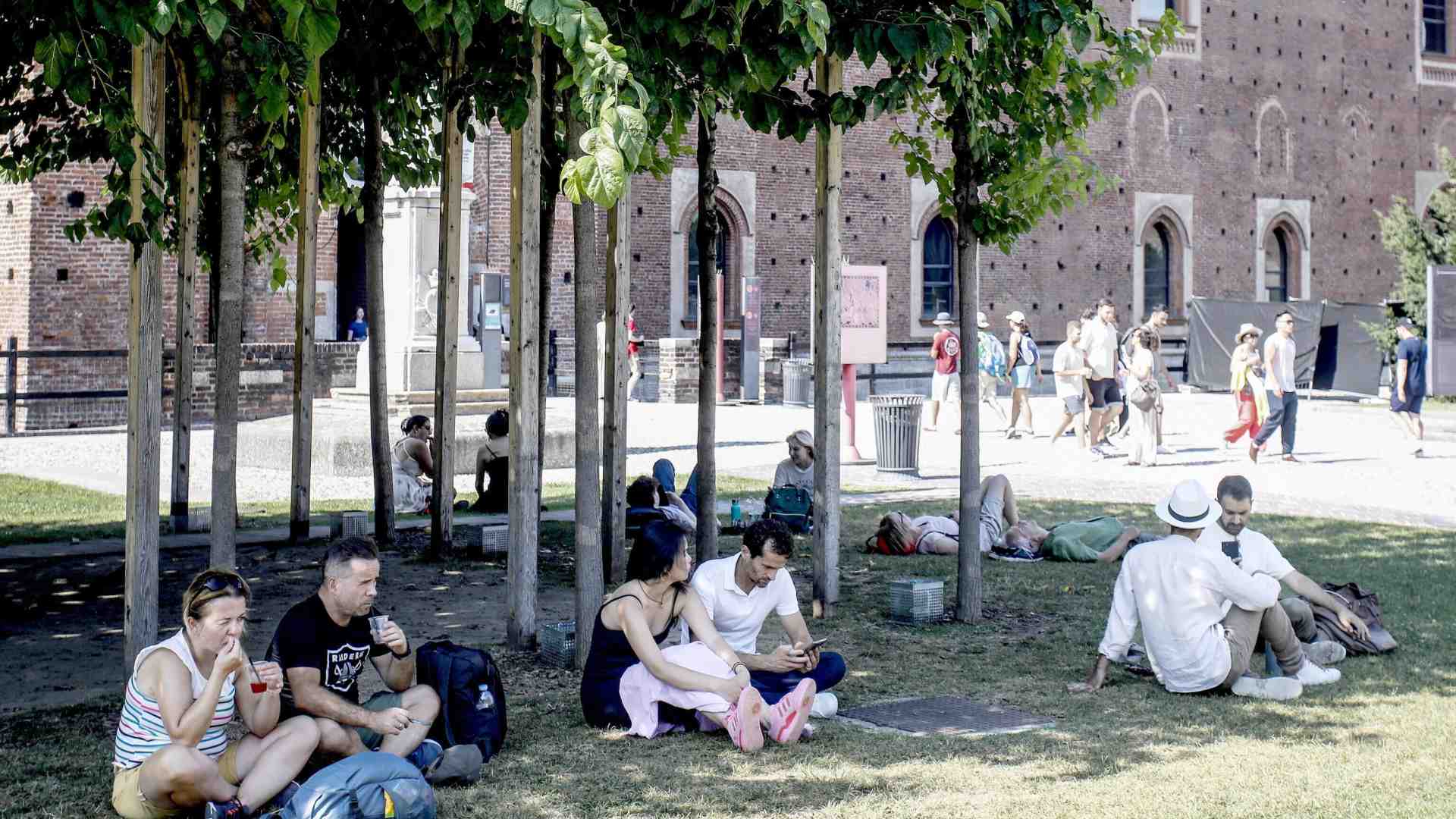 Il Garante del verde dice che il comune di Milano deve piantare alberi. Invece pianta i sassi