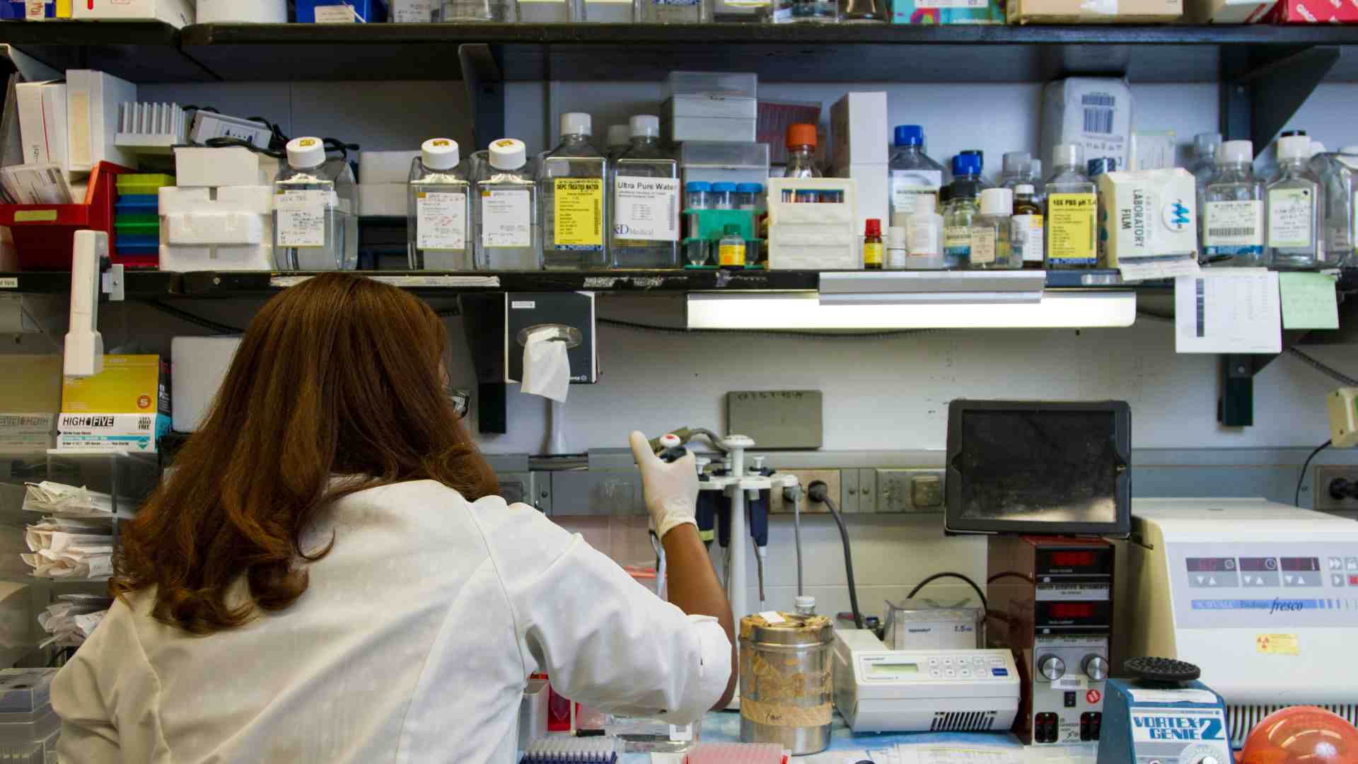 È assurdo che la libertà della scienza venga difesa dall'autorità religiosa e non dalle istituzioni laiche