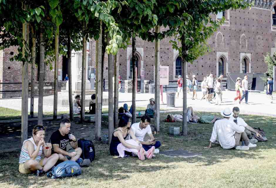 Il Garante del verde dice che il comune di Milano deve piantare alberi. Invece pianta i sassi