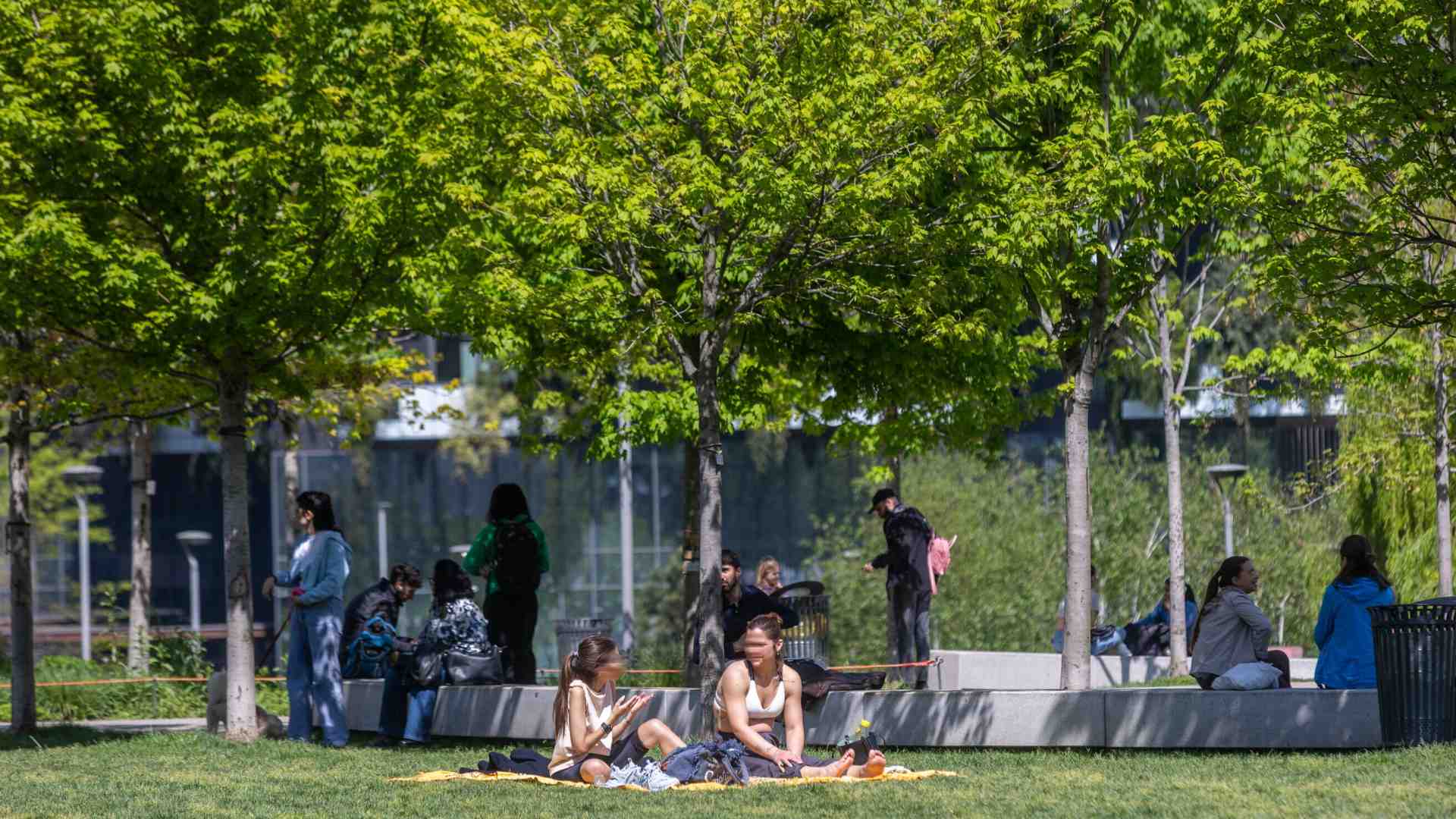 Le aree verdi in città sono utili contro il caldo. Ma il progetto del comune di Bologna non funziona
