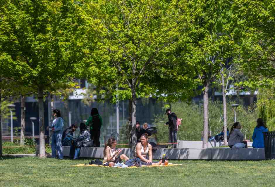 Le aree verdi in città sono utili contro il caldo. Ma il progetto del comune di Bologna non funziona