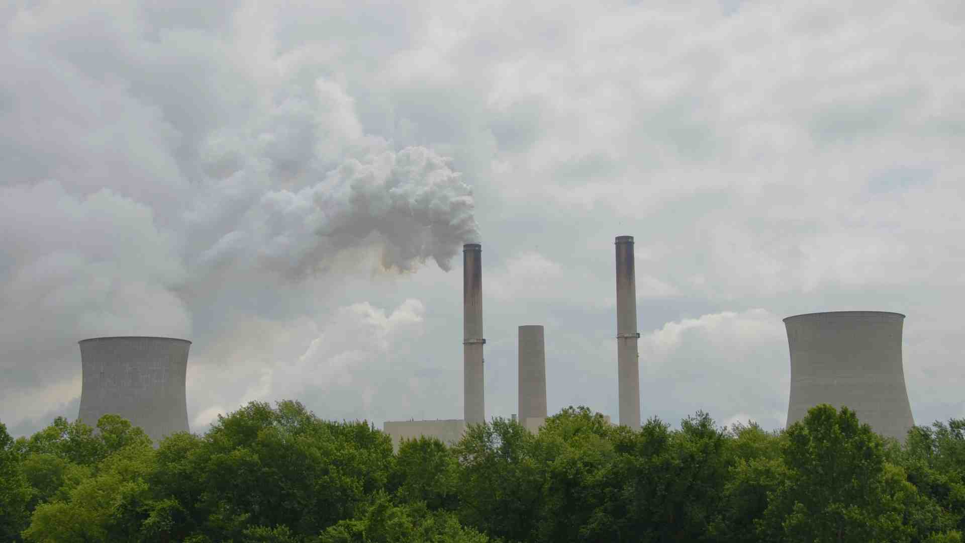 Chiari esempi di danni ambientali causati dal solito bigottismo climatico