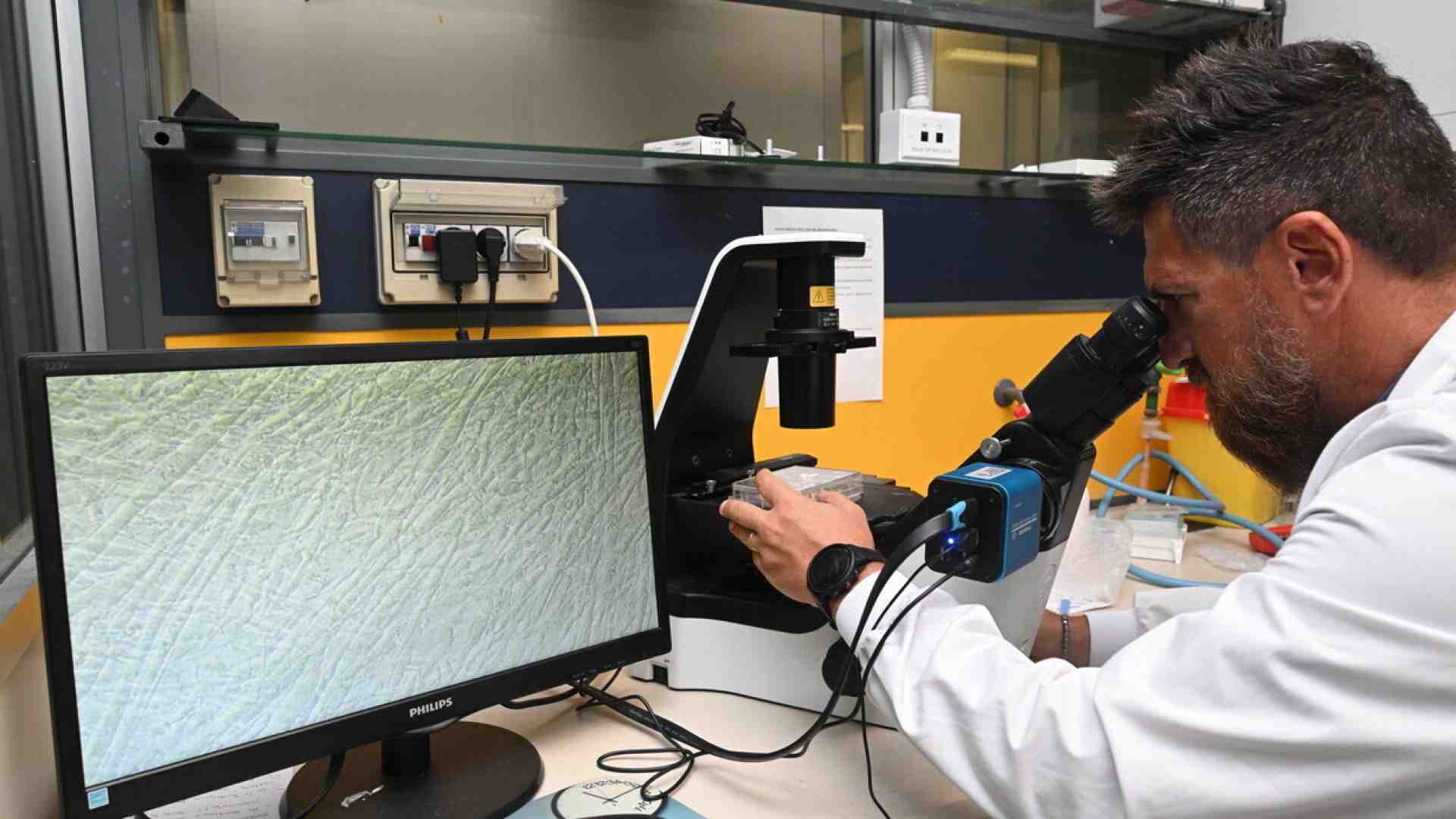 Ogni progresso porta guai. L’immortalità? Un’illusione catastrofica