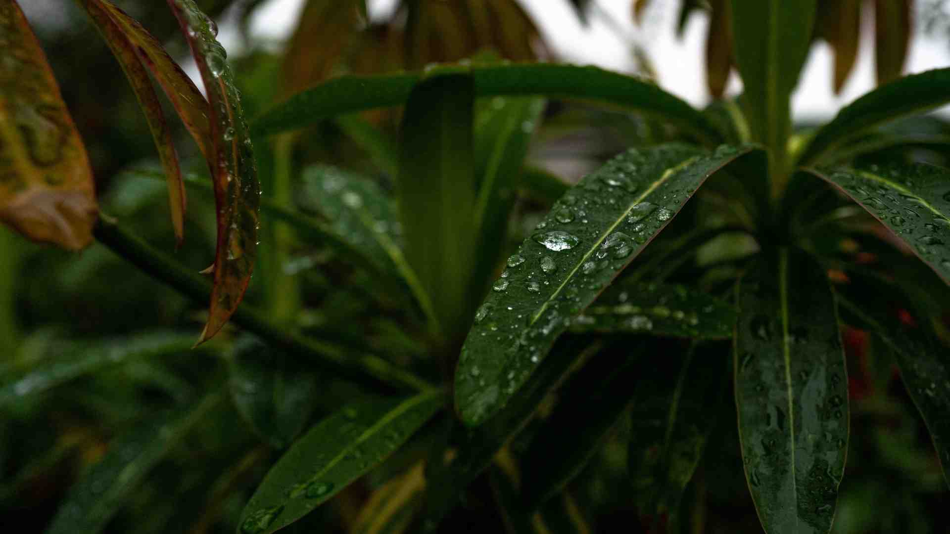 La petizione valdostana sull'acqua informata