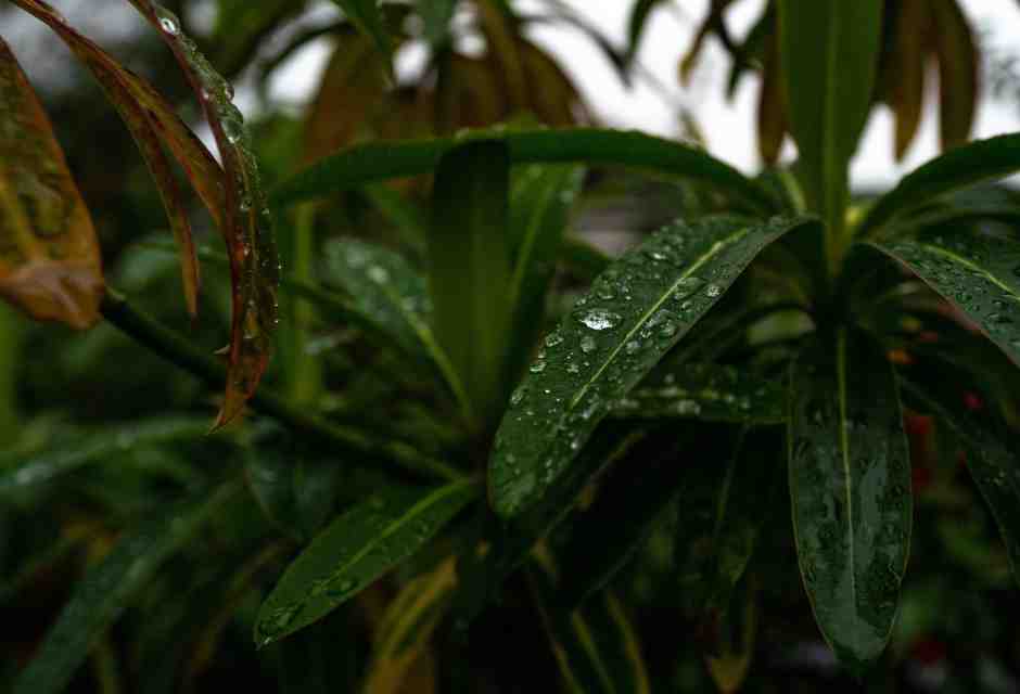 La petizione valdostana sull'acqua informata