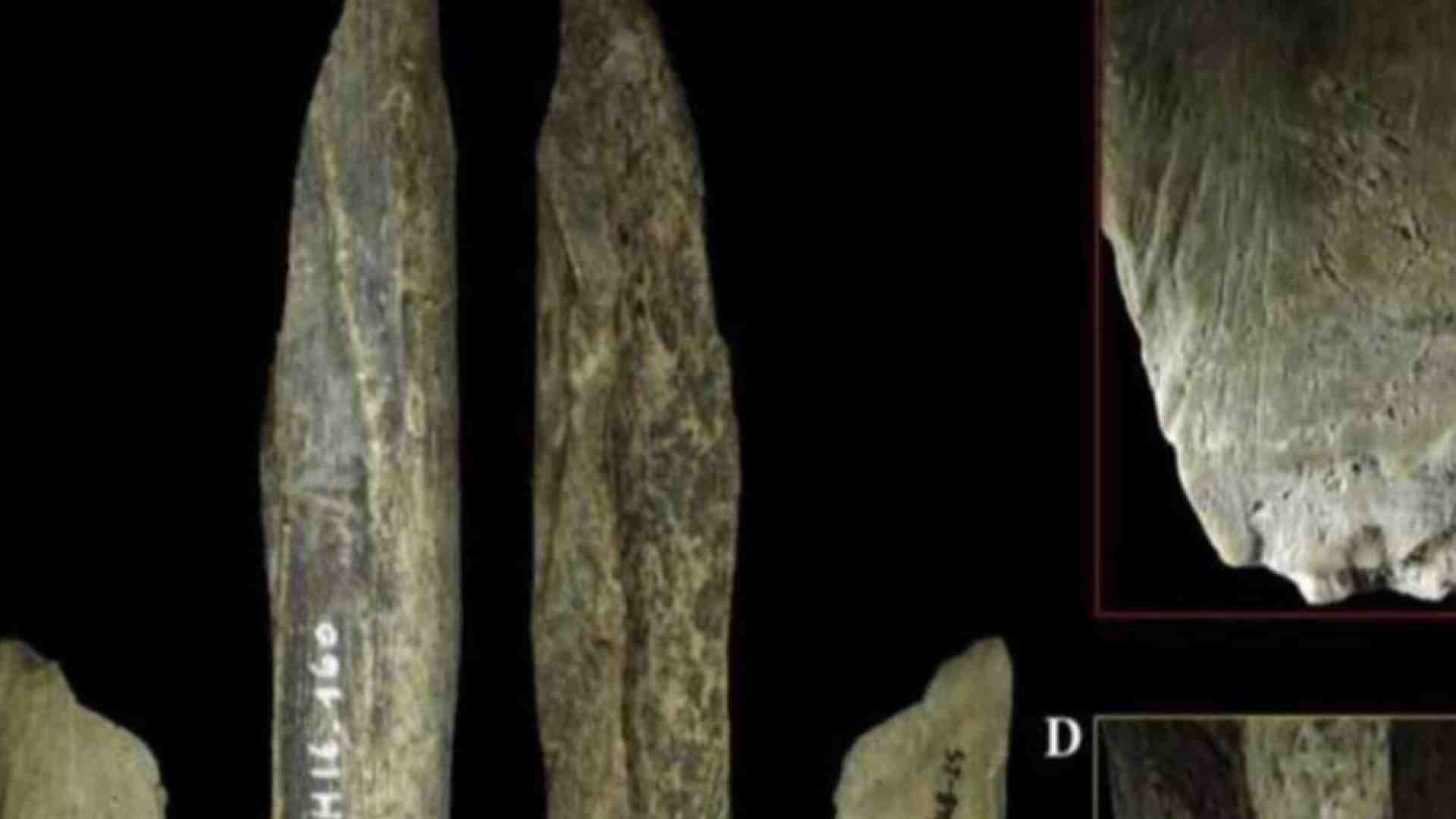 Scoperto in una grotta belga il coltellino svizzero dei Neanderthal