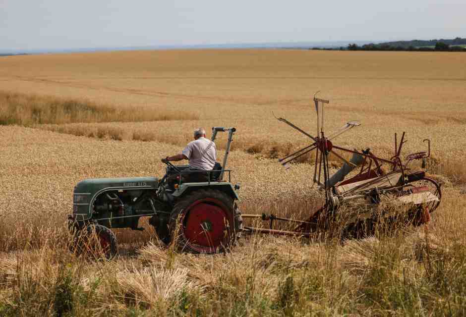 Il silenzio assordante dello IAR sull’“acqua informata”