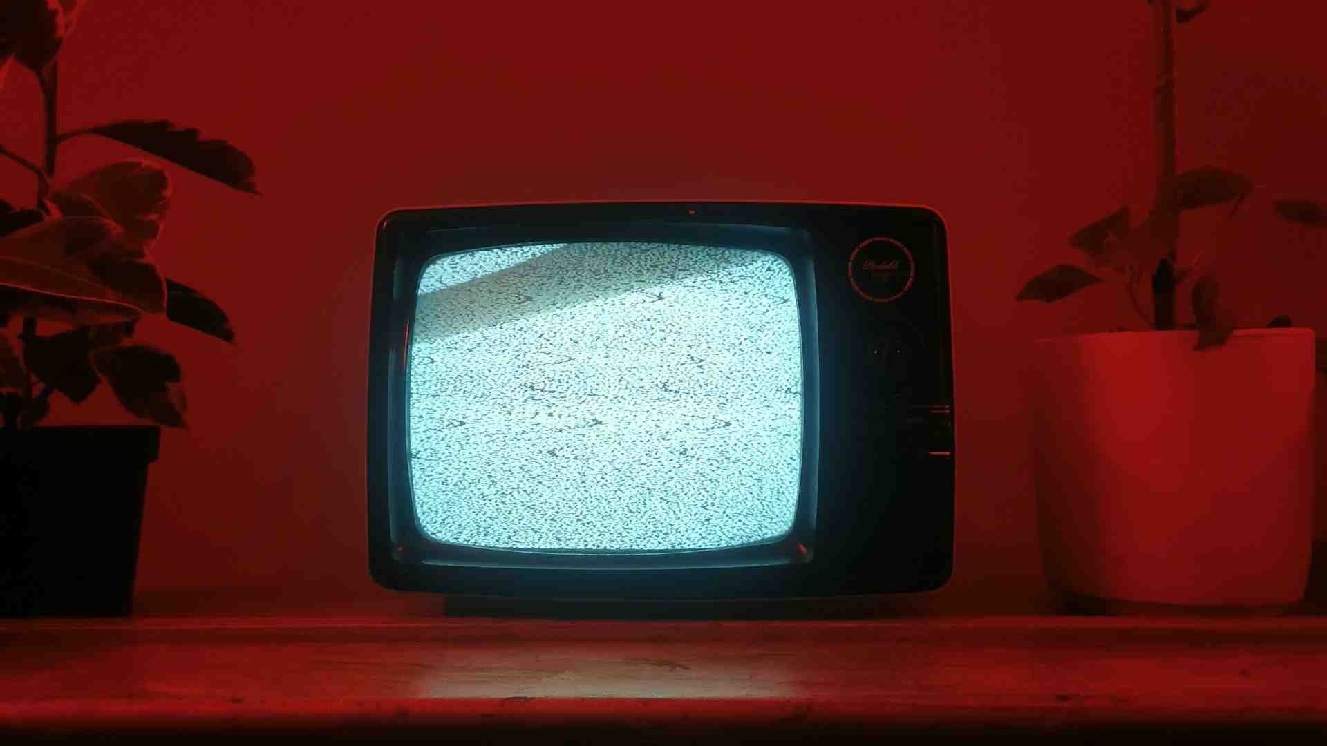 Lo schermo opaco della correttezza politica