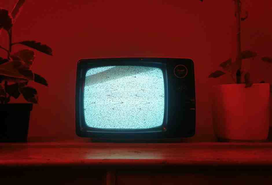 Lo schermo opaco della correttezza politica