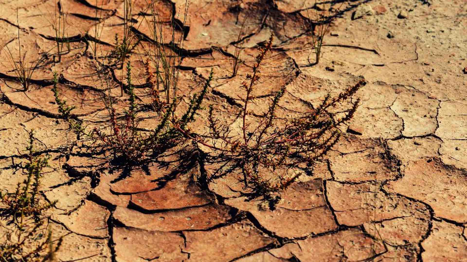 Perché esiste il male (e da dove viene) secondo Agostino