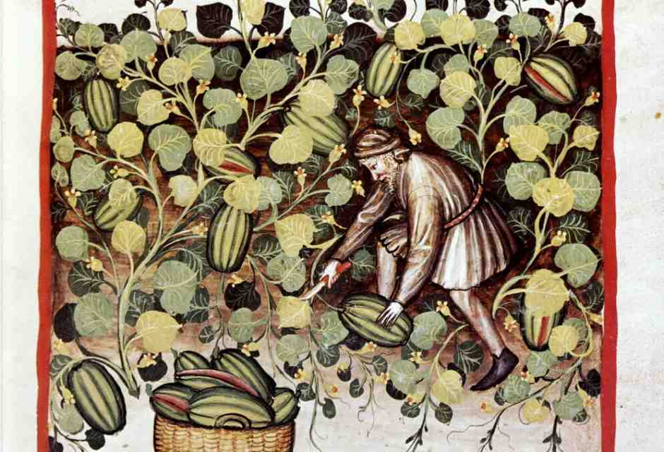 Cocomeri armati. Storie e guerre del re dei frutti