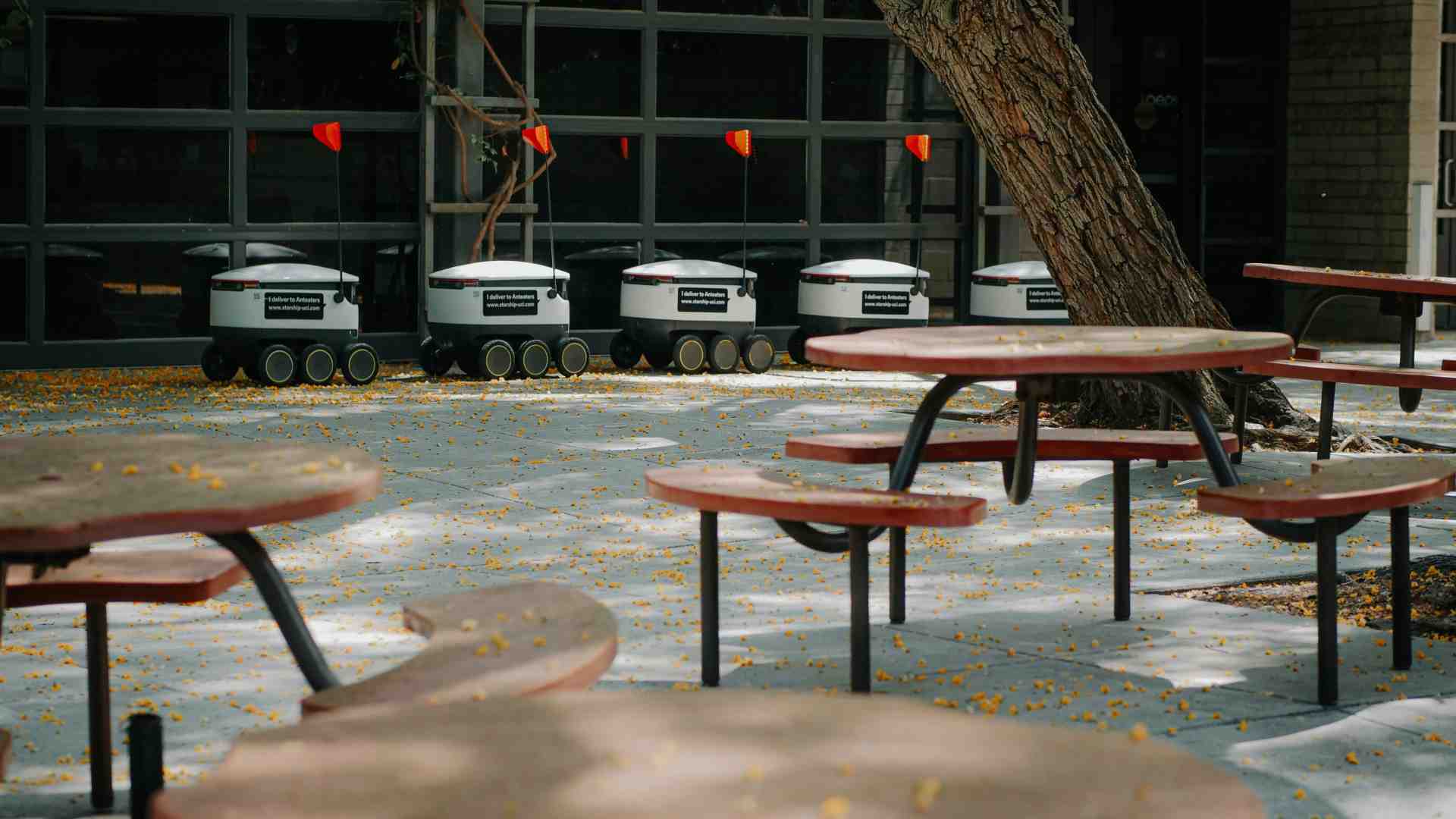 Lavorare fra un quarto di secolo, in mezzo a robot e agenti IA