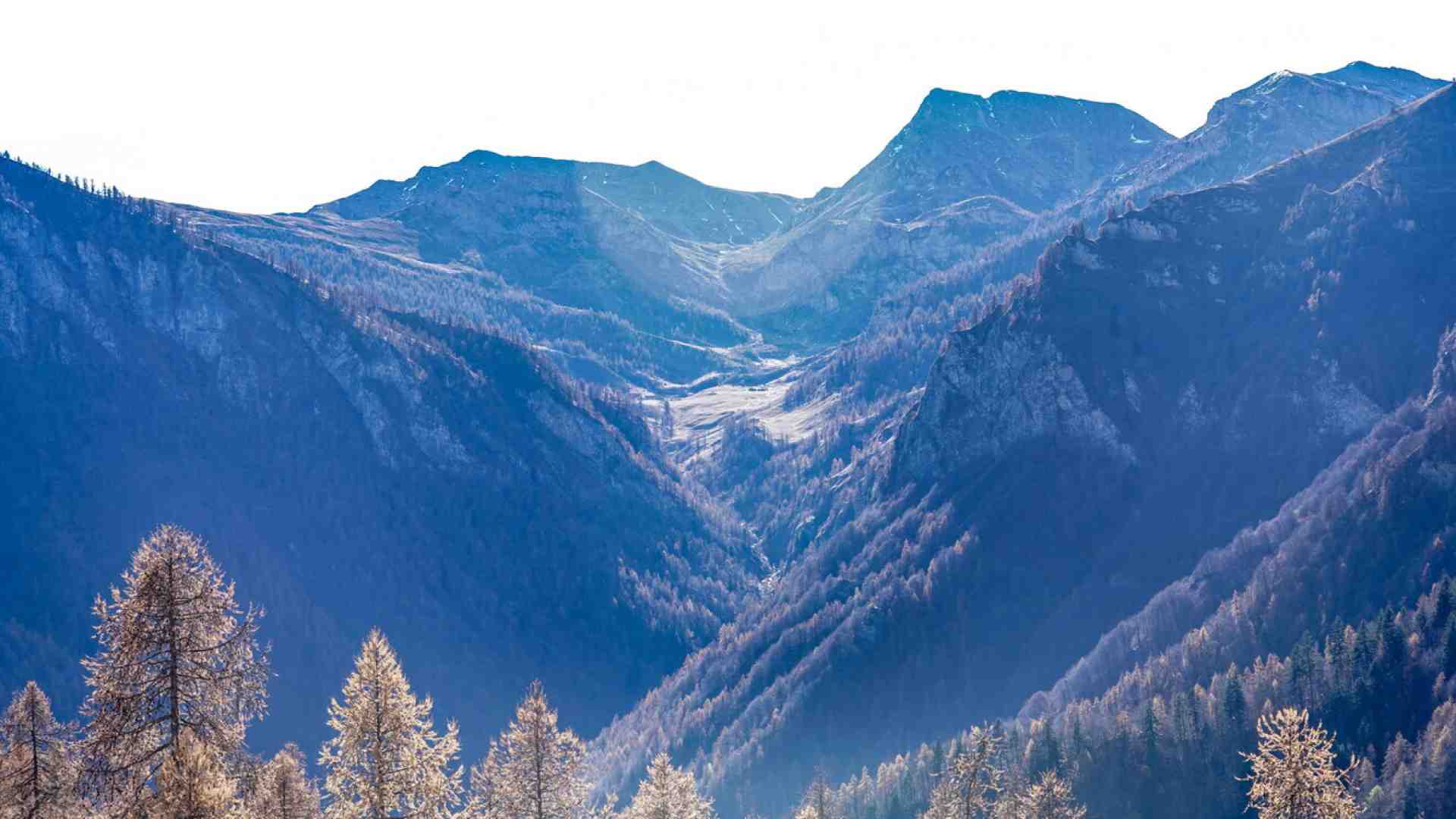 Il neocolonialismo degli ambientalisti