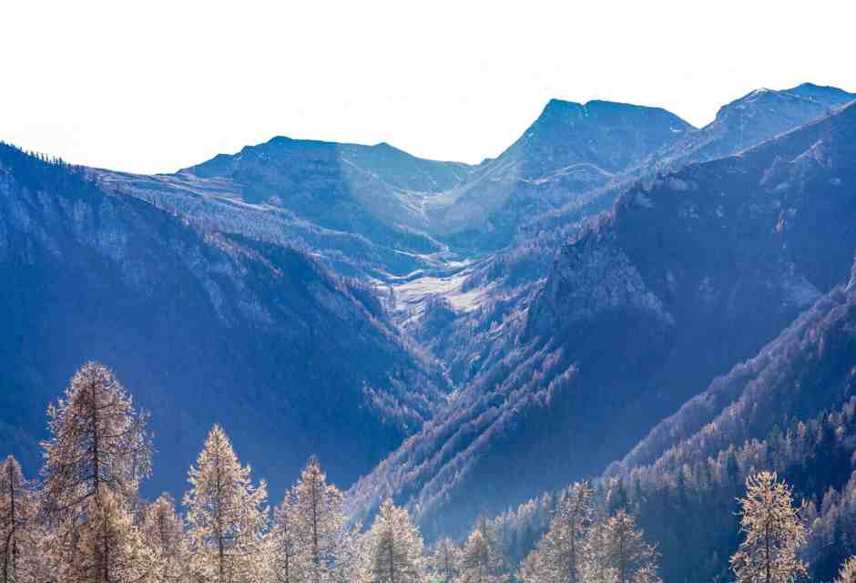 Il neocolonialismo degli ambientalisti