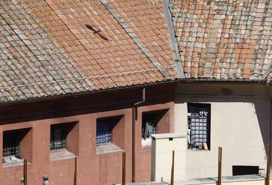 I giorni di Pierre Clémenti tra Regina Coeli e Rebibbia