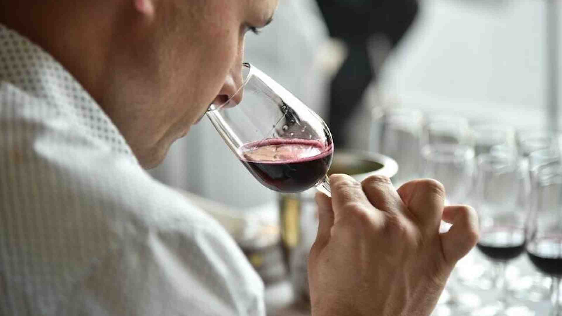 Il Lambrusco Ancestrale che piace alla sinistra, unico nettare degno di me, conservatore solitario