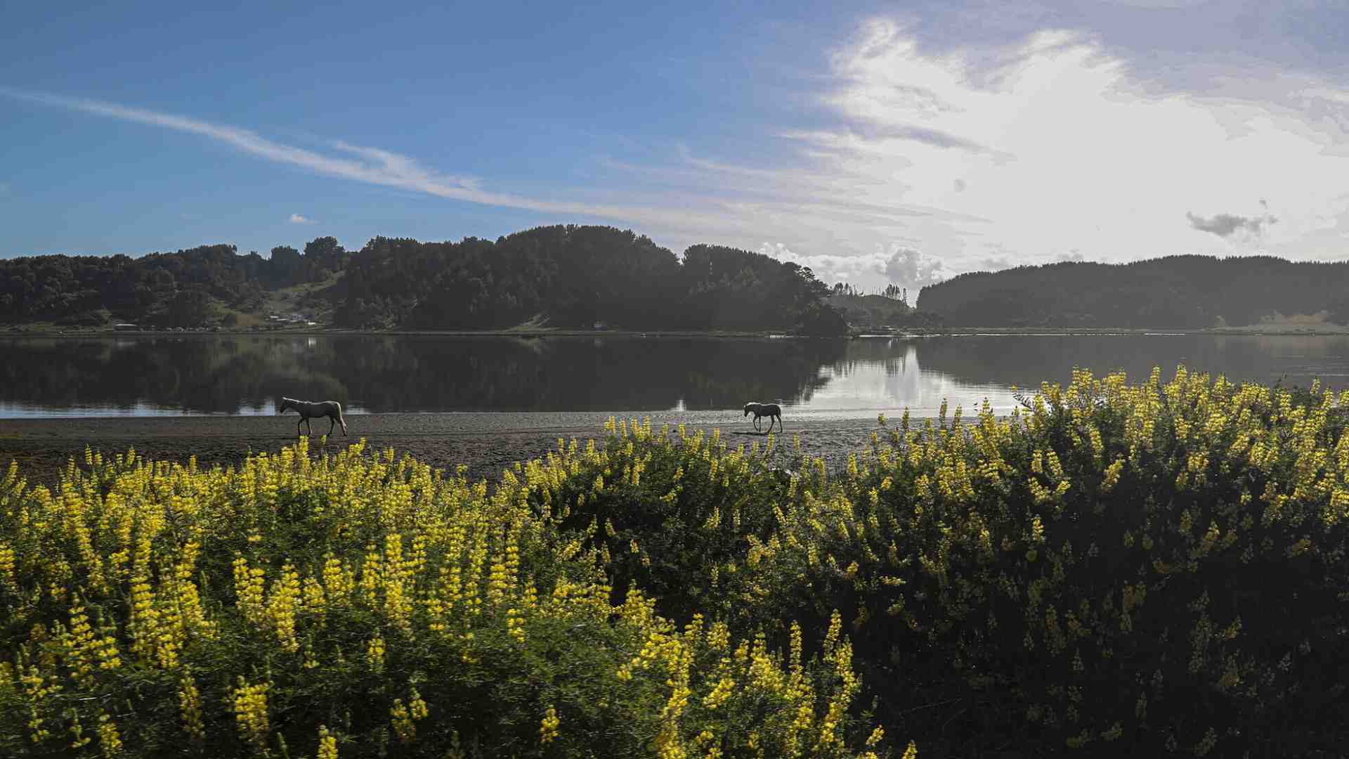 Viaggiare solo se chiamati dai luoghi. La Patagonia di Stefano Faravelli