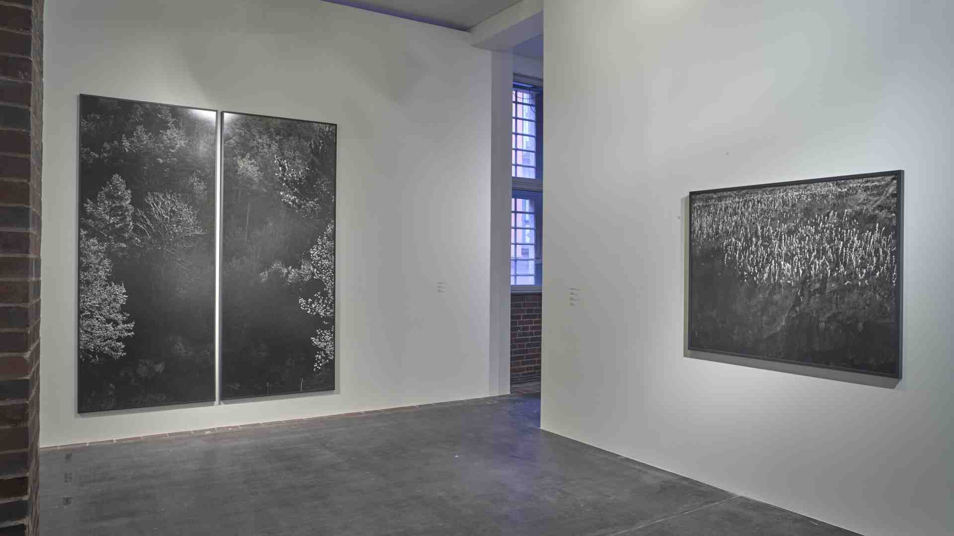 Il viaggio di Awoiska van der Molen verso l’essenza