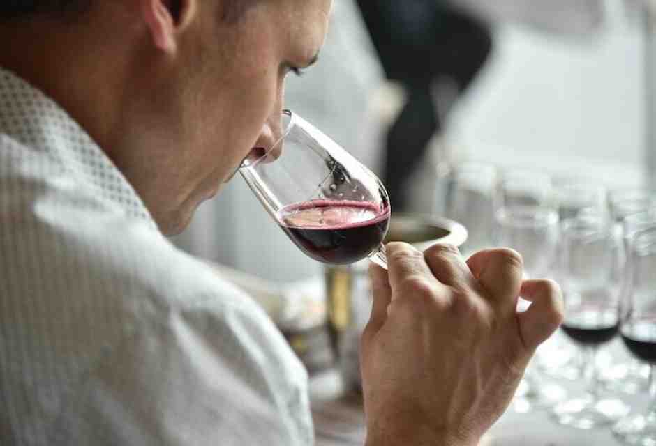 Il Lambrusco Ancestrale che piace alla sinistra, unico nettare degno di me, conservatore solitario