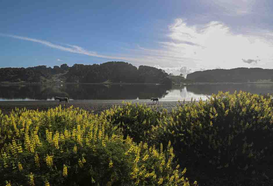 Viaggiare solo se chiamati dai luoghi. La Patagonia di Stefano Faravelli
