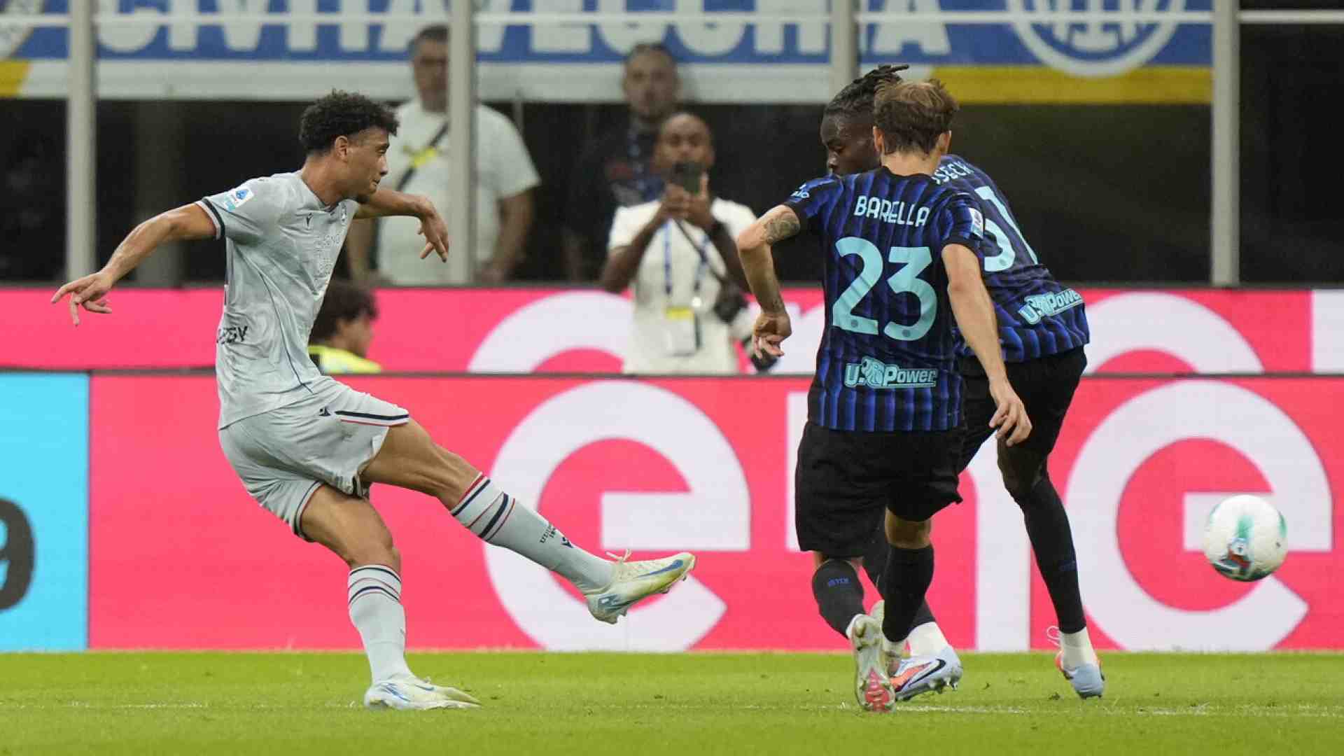 Il girasole Arthur Atta