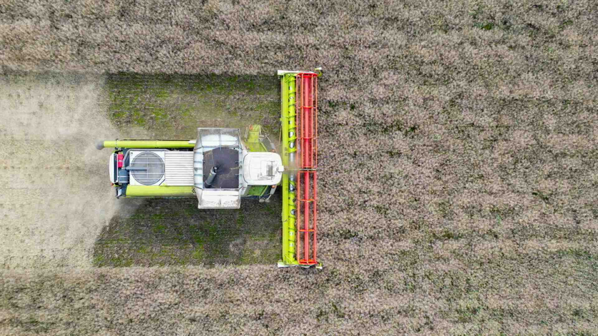 Acqua informata? No grazie