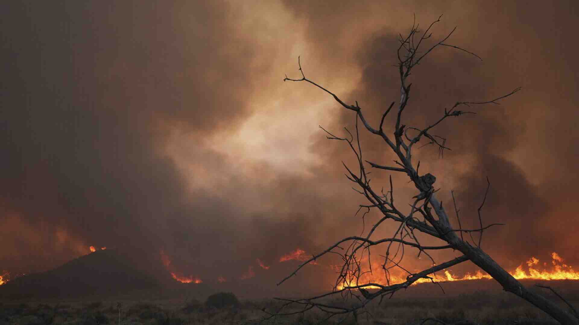 Dopo gli incendi Los Angeles sarà solo dei ricchissimi
