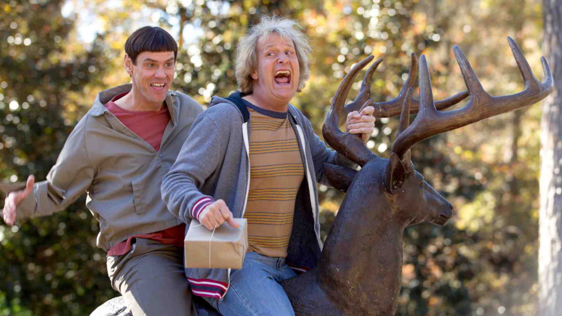 Fenomenologia del cringe