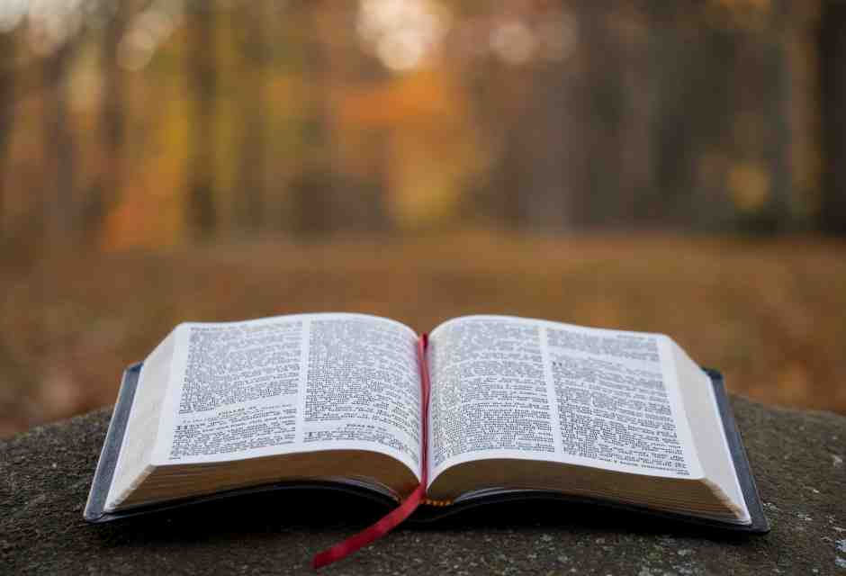 Vivere secondo il libro più importante del mondo non è essere eccentrici