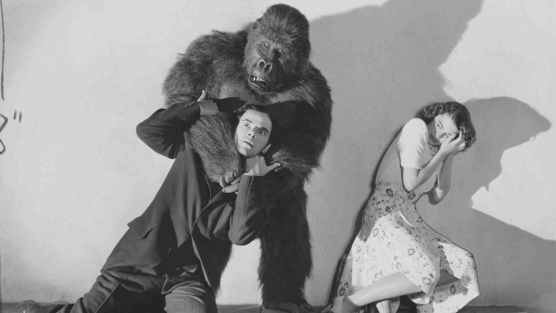 Vita in costume da scimmia