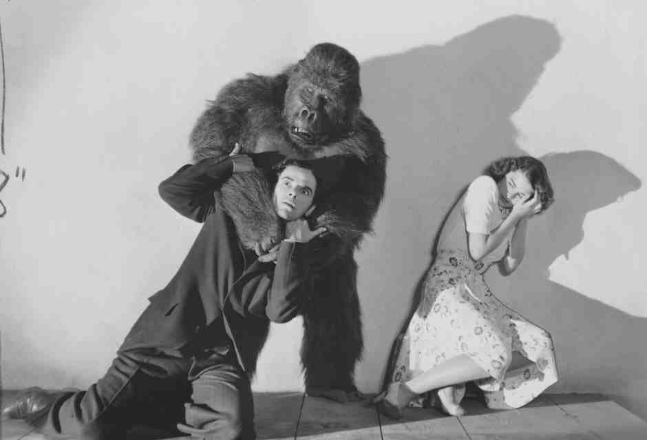 Vita in costume da scimmia