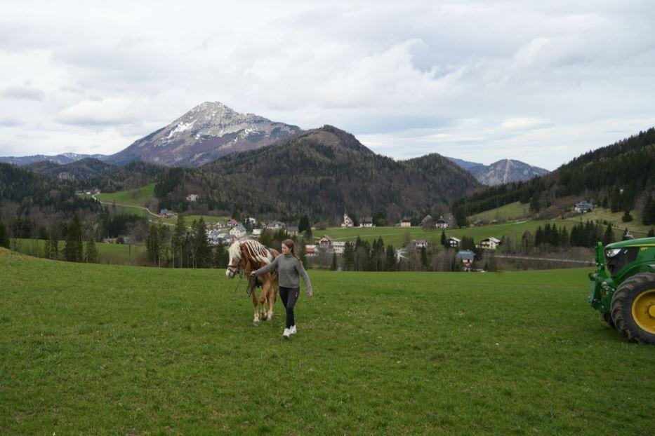 Lungo il Sacro Cammino da Annaberg a Mariazell