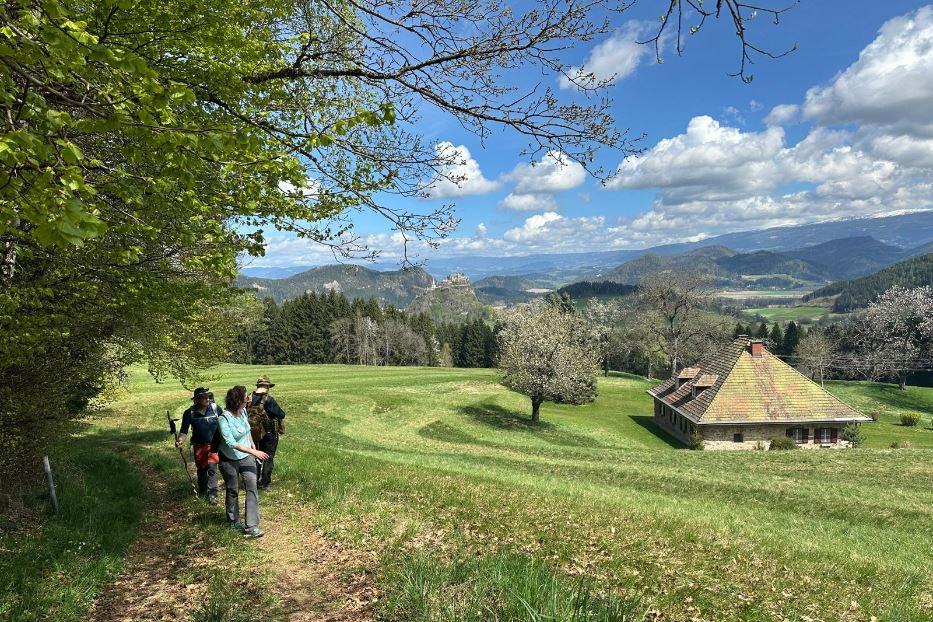In cammino, scendendo da Magdalensberg
