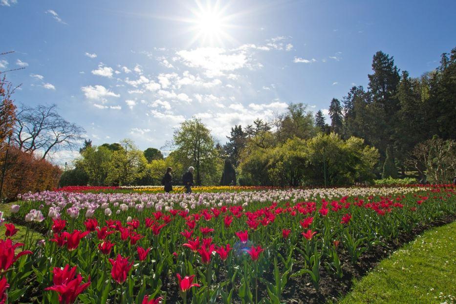 Il Giardino botanico di Villa Taranto a Verbania - Archivio Fotografico DTL - Marco Benedetto Cerini
