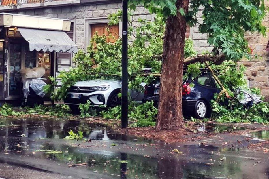 Rami precipitati sopra le automobili a Firenze per effetto del maltempo - Ansa