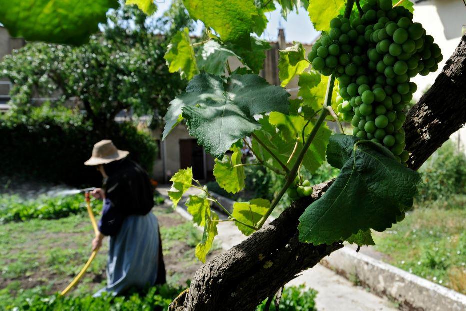 Il lavoro nell'orto del Monastero di santa Veronica Giuliani - @Milanesi PhotoStudio