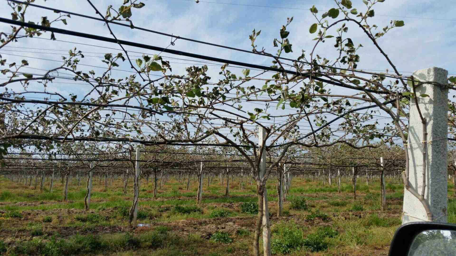 Le sagre d'autunno nel Lazio: ecco dove andare
