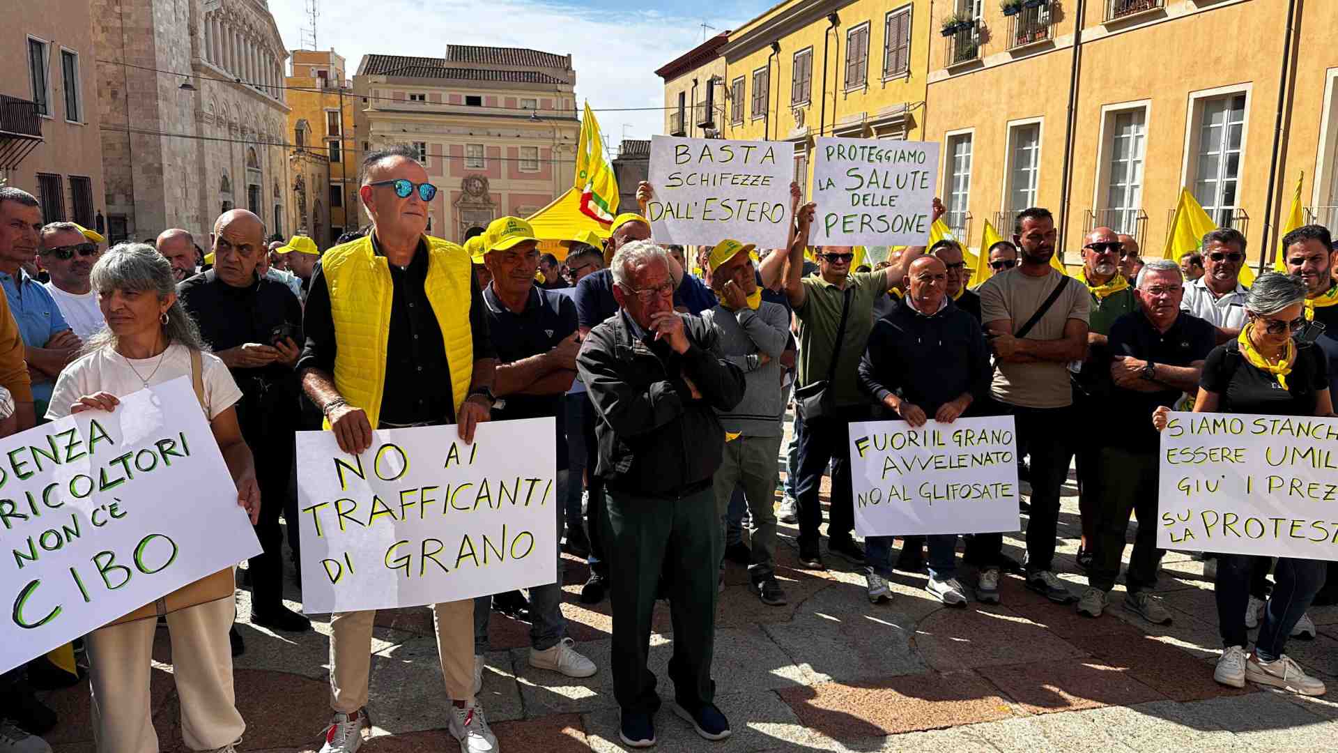 Le crisi del grano duro sono cicliche, serve una strategia per il futuro