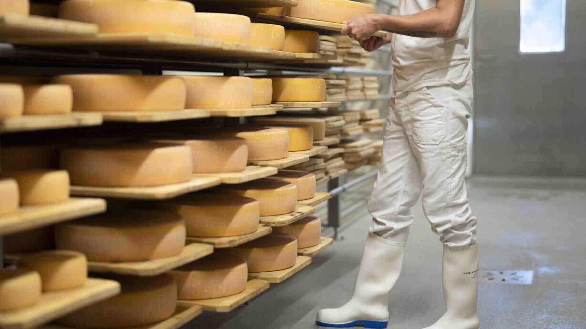 Il successo del formaggio dimostra che l'umanità è salva