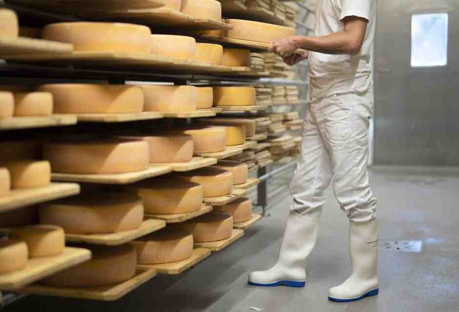 Il successo del formaggio dimostra che l'umanità è salva