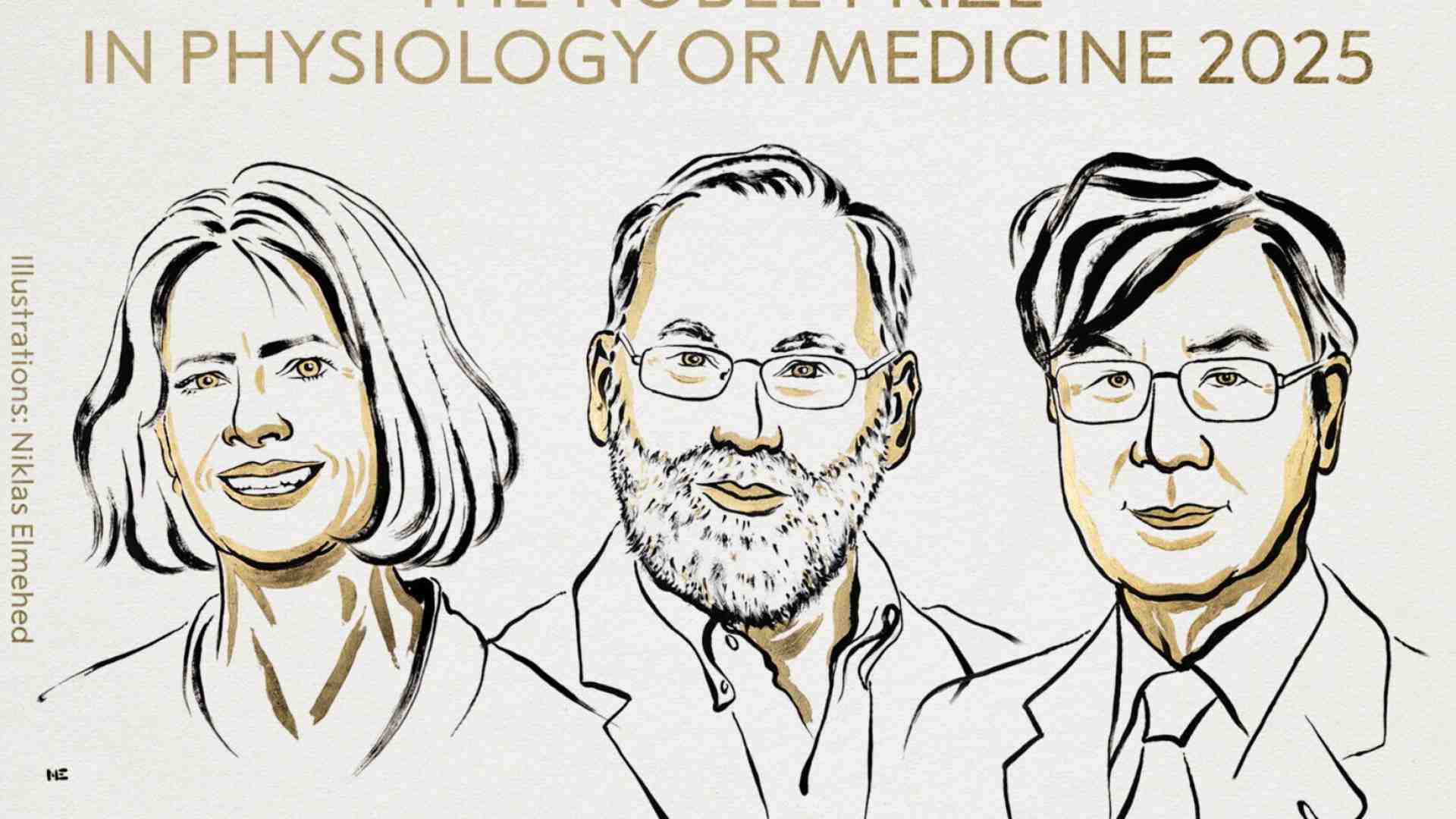 Il Nobel per la Medicina va a Brunkow, Ramsdell e Sakaguchi