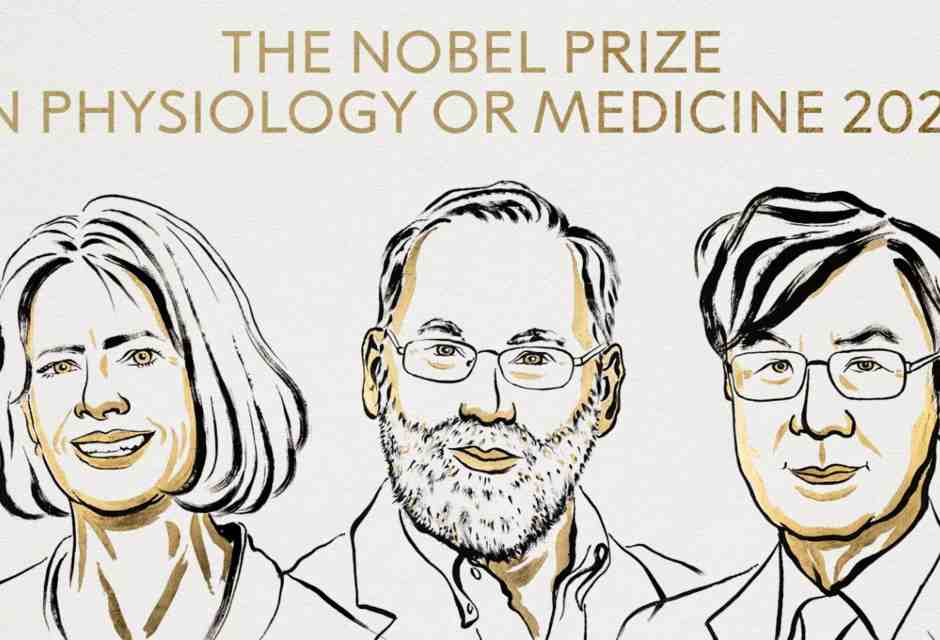 Il segreto delle cellule che frenano l’immunità svelato dai Nobel per la Medicina 2025