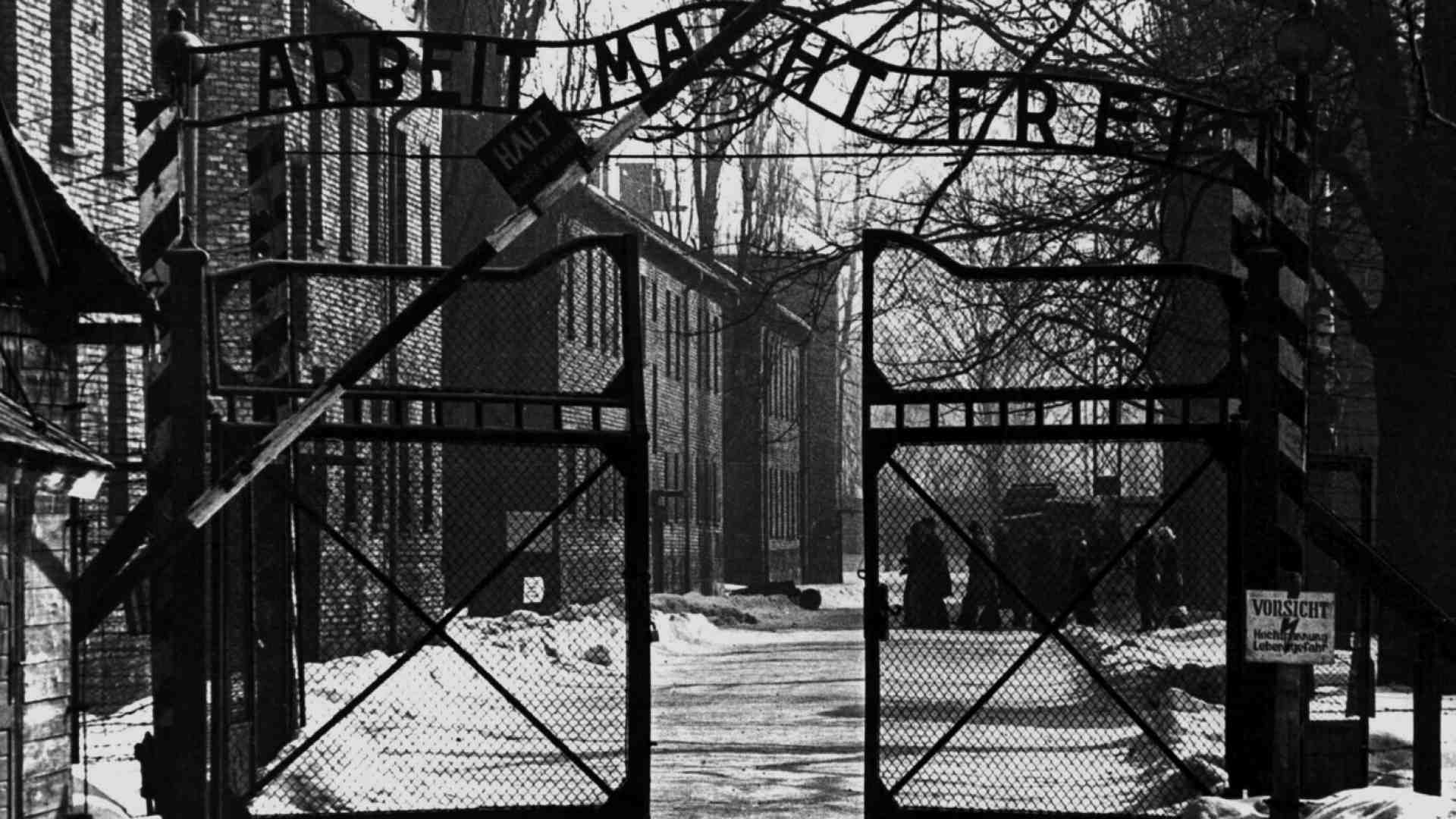 La storia di Elena, deportata tutta sola ad Auschwitz a undici anni raccontata da Fabrizio Rondolino