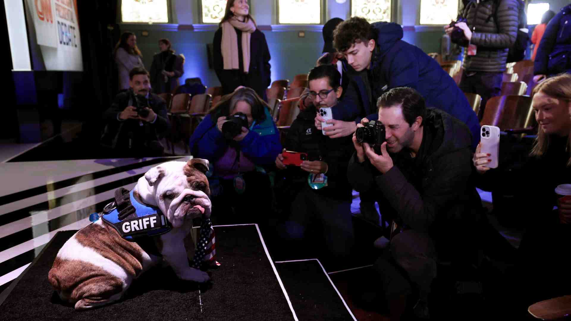 Amico bulldog. Così politici e celebrità si sono innamorati