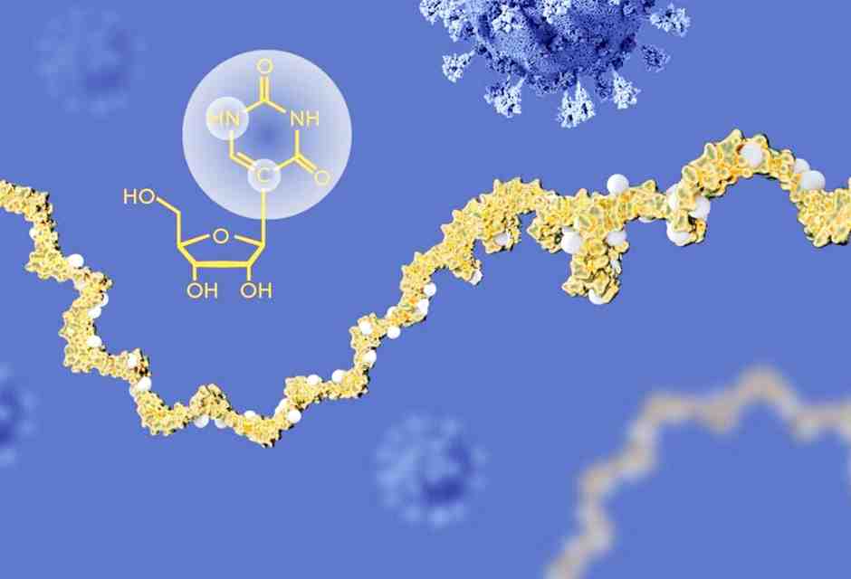 Un vaccino basato su mRNA potrebbe aiutare il sistema immunitario contro il cancro