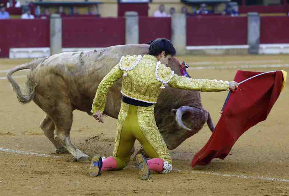 La corrida, come il cinema, ci espone al mistero della natura indifferente